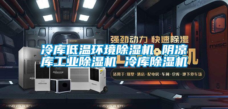 冷库低温环境除湿机 阴凉库工业除湿机 冷库除湿机