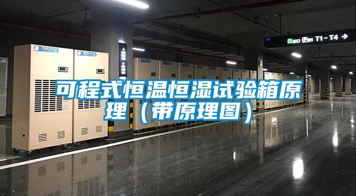 可程式恒温恒湿试验箱原理（带原理图）