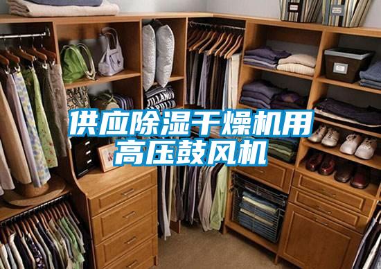 供应除湿干燥机用高压鼓风机