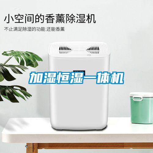 加湿恒湿一体机