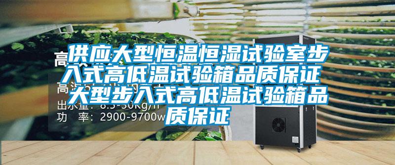 供应大型恒温恒湿试验室步入式高低温试验箱品质保证 大型步入式高低温试验箱品质保证