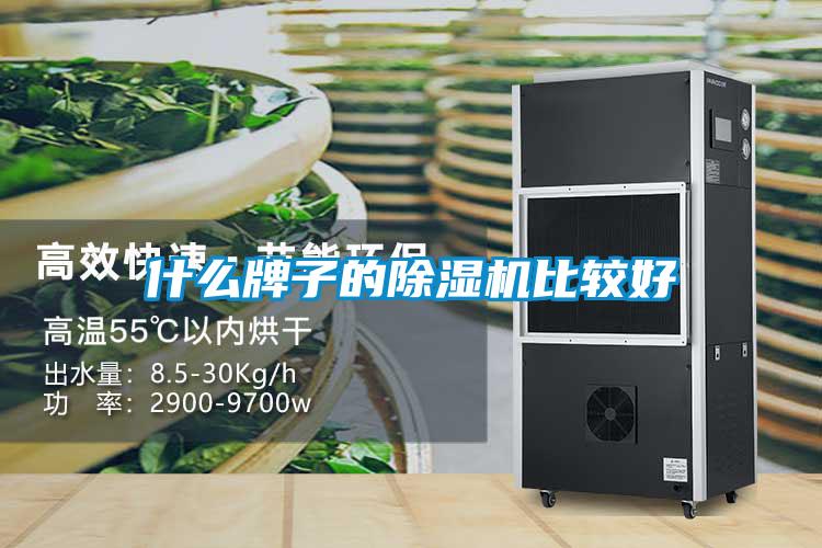 什么牌子的除湿机比较好