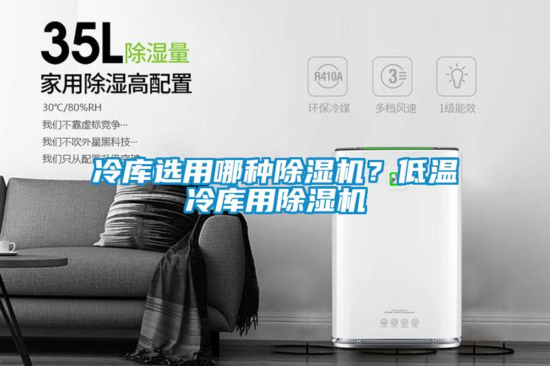 冷库选用哪种除湿机？低温冷库用除湿机