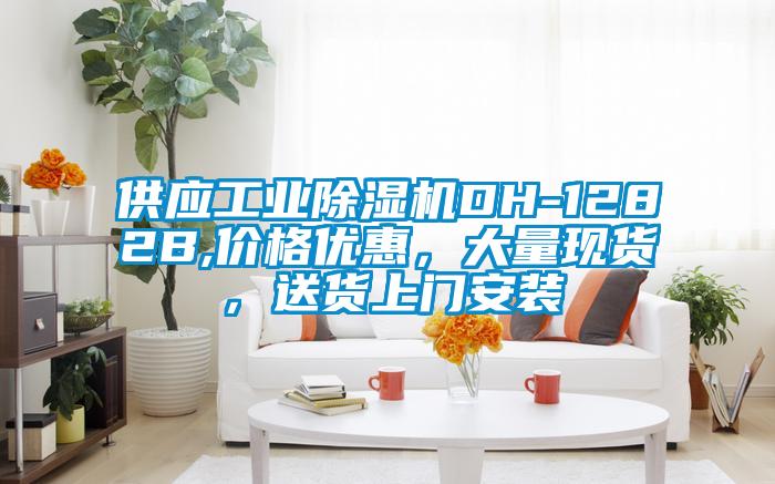 供应工业除湿机DH-1282B,价格优惠，大量现货，送货上门安装