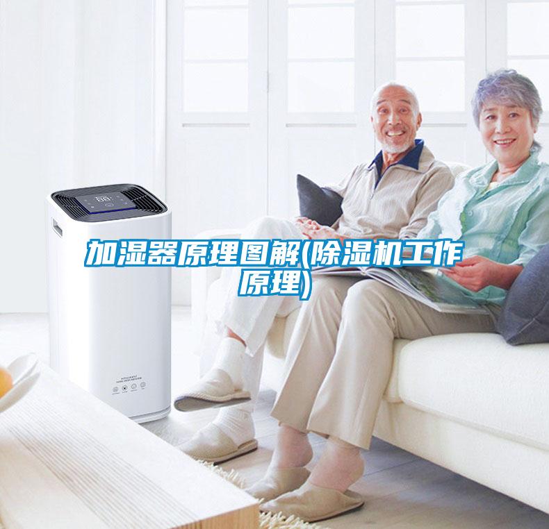加湿器原理图解(除湿机工作原理)