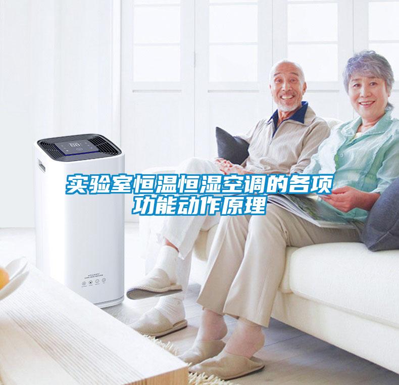 实验室恒温恒湿空调的各项功能动作原理