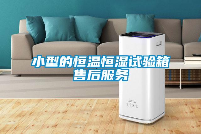 小型的恒温恒湿试验箱售后服务
