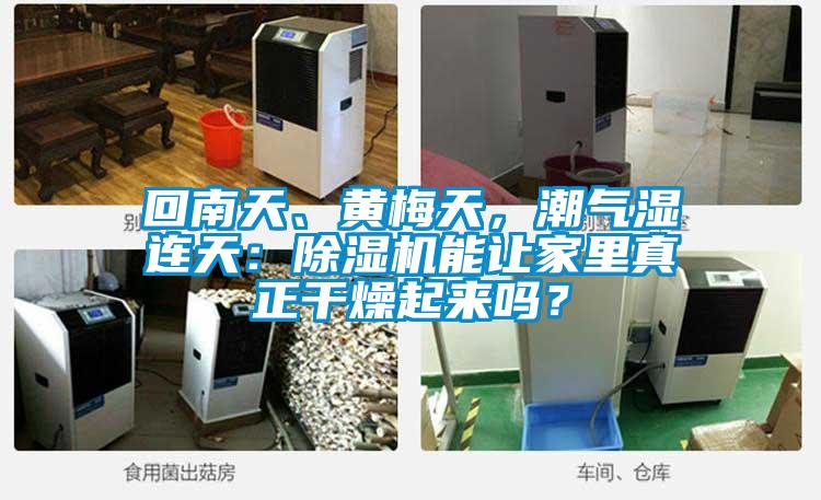 回南天、黄梅天，潮气湿连天：除湿机能让家里真正干燥起来吗？