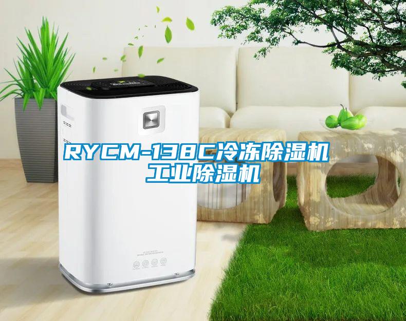 RYCM-138C冷冻除湿机 工业除湿机