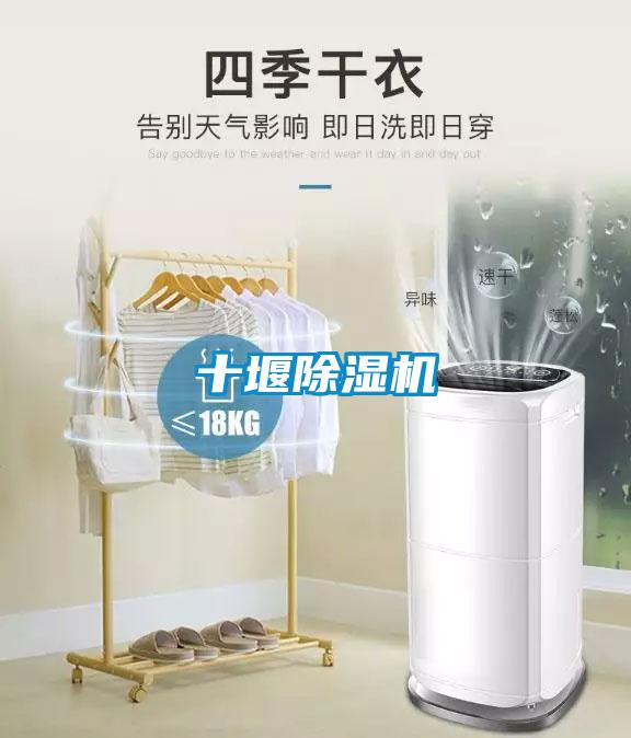 十堰除湿机