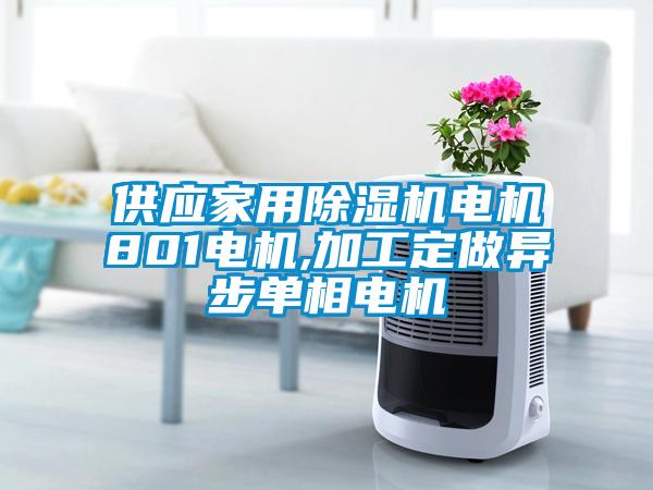 供应家用除湿机电机801电机,加工定做异步单相电机
