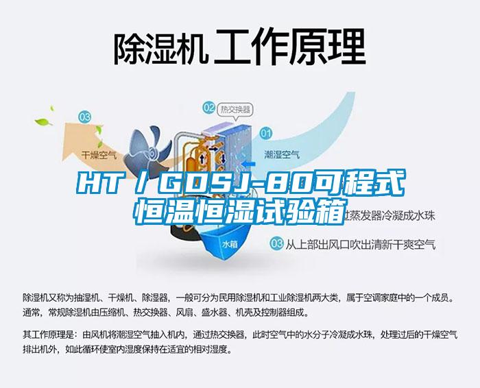 HT／GDSJ-80可程式恒温恒湿试验箱