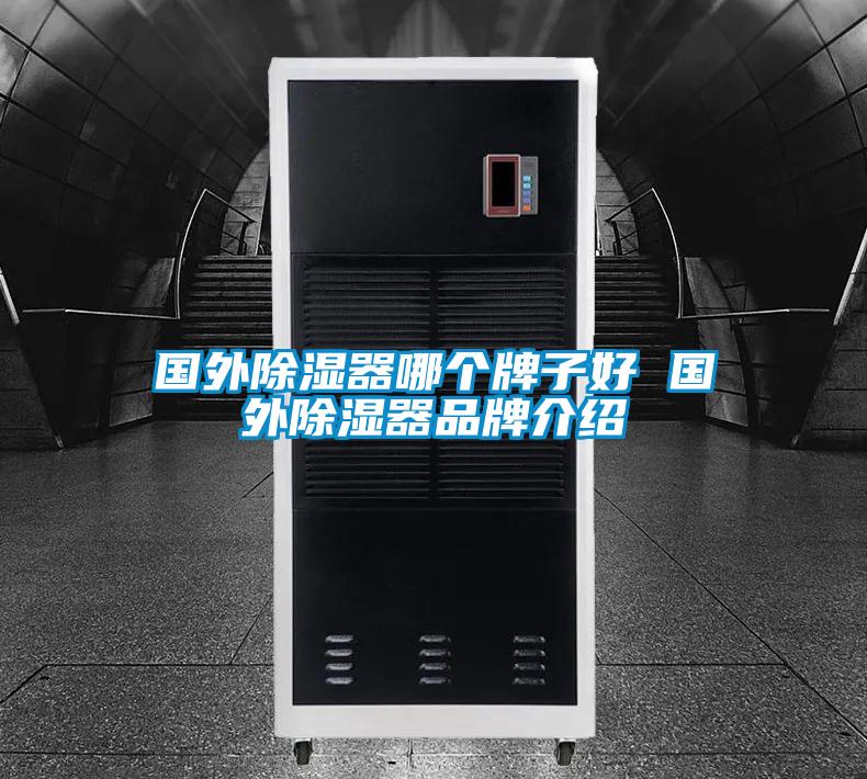 国外除湿器哪个牌子好 国外除湿器品牌介绍