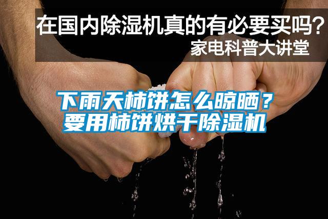 下雨天柿饼怎么晾晒？要用柿饼烘干除湿机