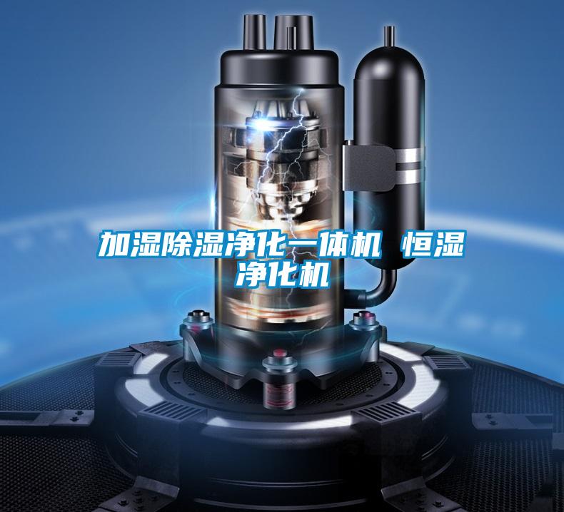 加湿除湿净化一体机 恒湿净化机
