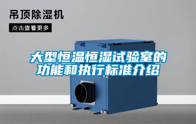 大型恒温恒湿试验室的功能和执行标准介绍