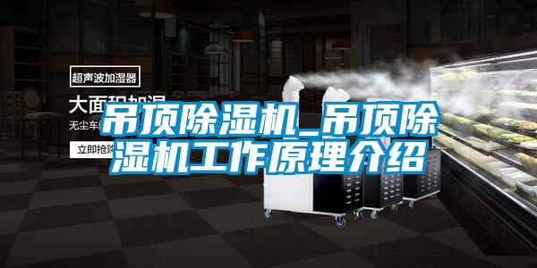 吊顶除湿机_吊顶除湿机工作原理介绍