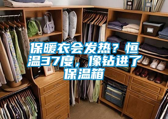 保暖衣会发热？恒温37度，像钻进了保温箱