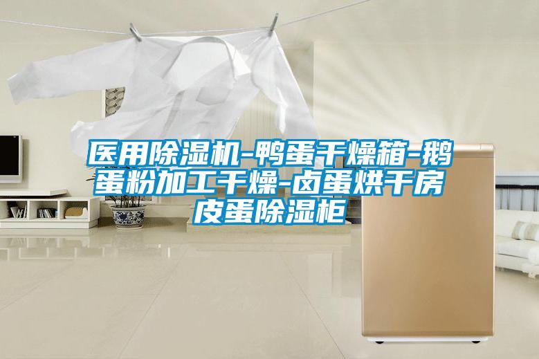 医用除湿机-鸭蛋干燥箱-鹅蛋粉加工干燥-卤蛋烘干房皮蛋除湿柜