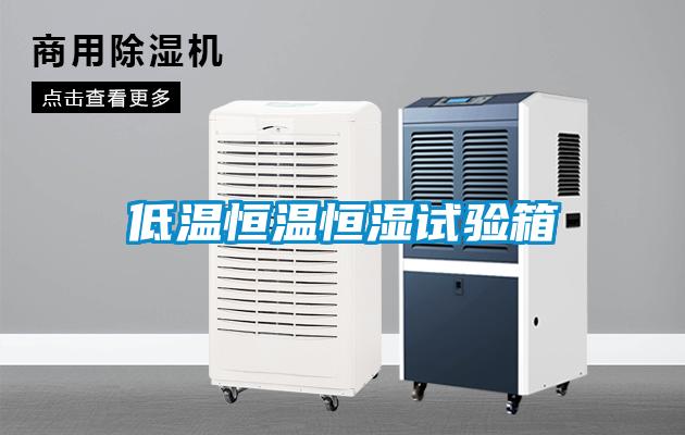 低温恒温恒湿试验箱