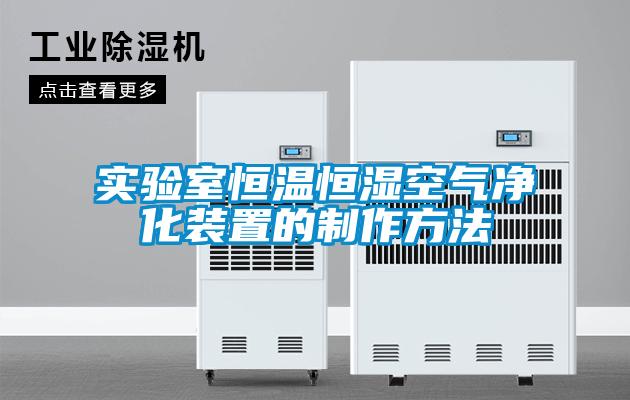 实验室恒温恒湿空气净化装置的制作方法