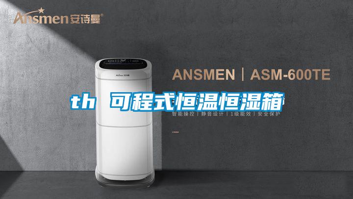 th 可程式恒温恒湿箱