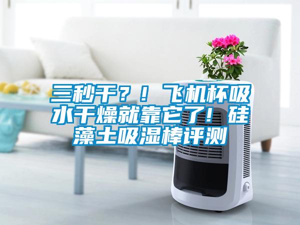 三秒干？! 飞机杯吸水干燥就靠它了! 硅藻土吸湿棒评测