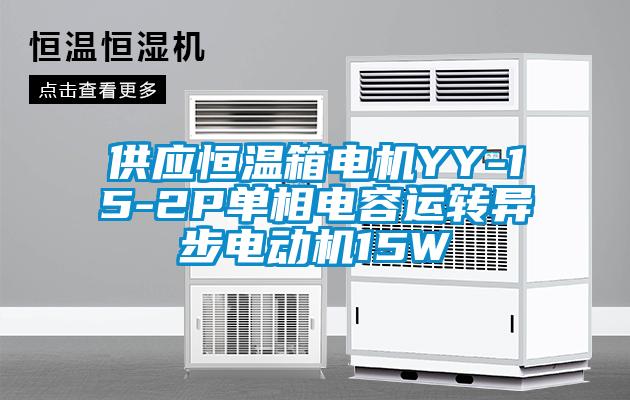 供应恒温箱电机YY-15-2P单相电容运转异步电动机15W