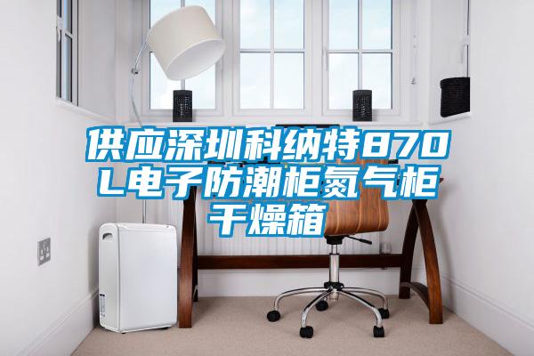 供应深圳科纳特870L电子防潮柜氮气柜干燥箱