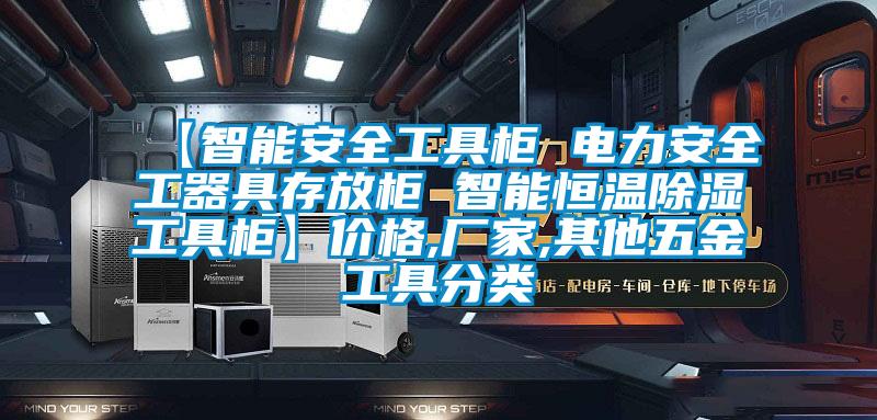【智能安全工具柜 电力安全工器具存放柜 智能恒温除湿工具柜】价格,厂家,其他五金工具分类