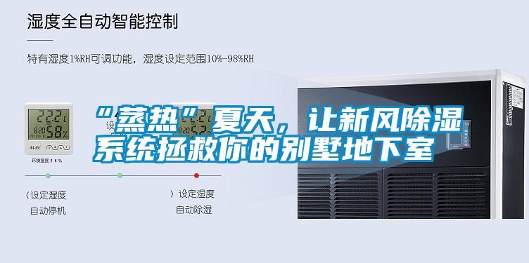 “蒸热”夏天，让新风除湿系统拯救你的别墅地下室