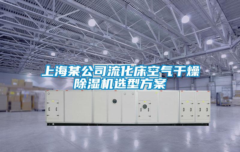 上海某公司流化床空气干燥除湿机选型方案