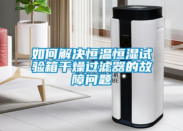 如何解决恒温恒湿试验箱干燥过滤器的故障问题