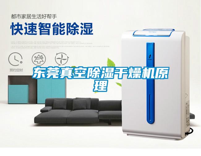 东莞真空除湿干燥机原理