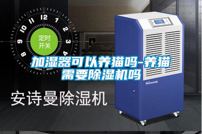 加湿器可以养猫吗-养猫需要除湿机吗