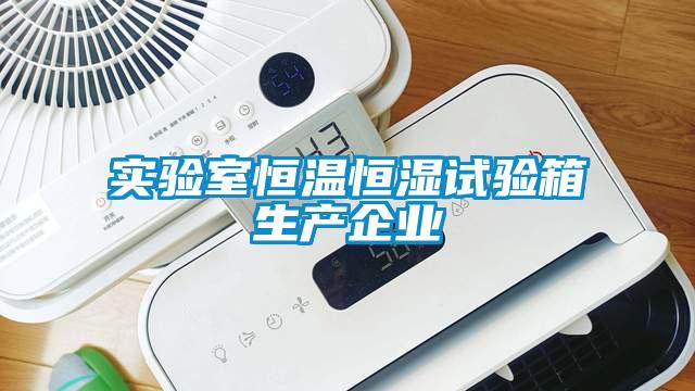 实验室恒温恒湿试验箱生产企业