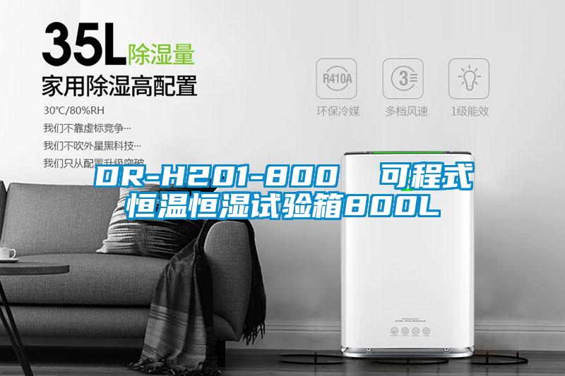 DR-H201-800  可程式恒温恒湿试验箱800L