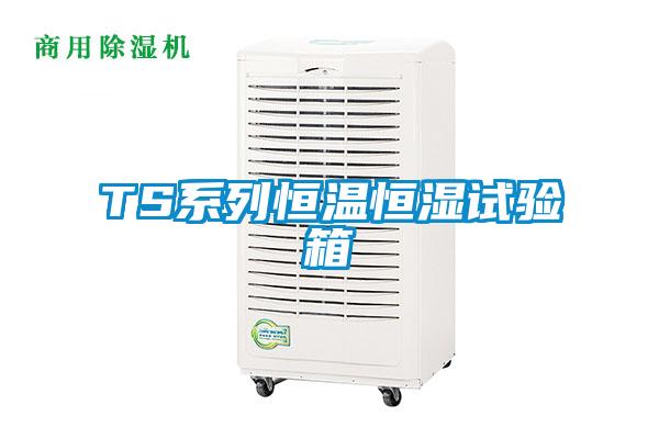 TS系列恒温恒湿试验箱