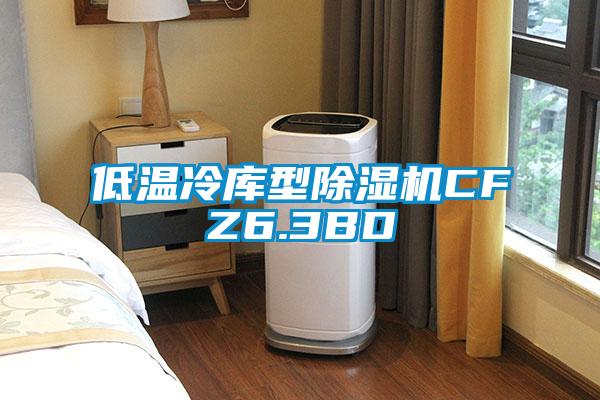 低温冷库型除湿机CFZ6.3BD