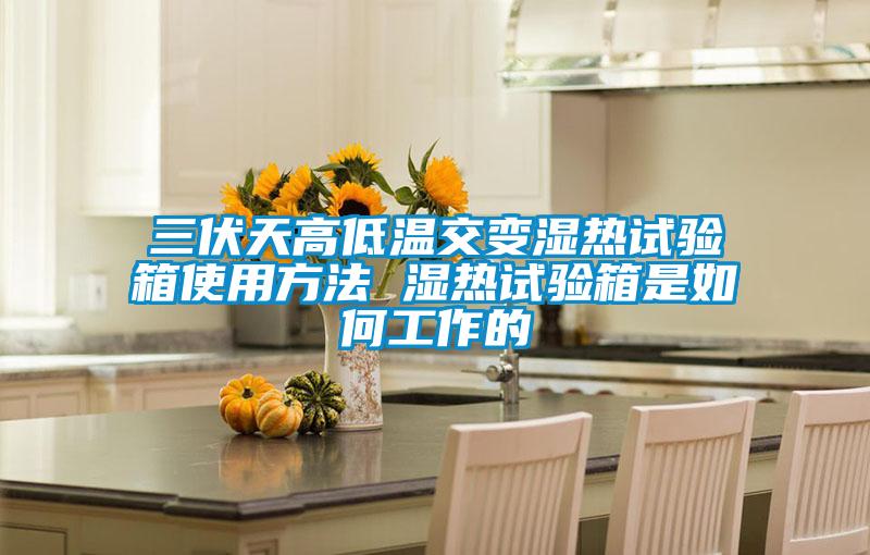 三伏天高低温交变湿热试验箱使用方法 湿热试验箱是如何工作的