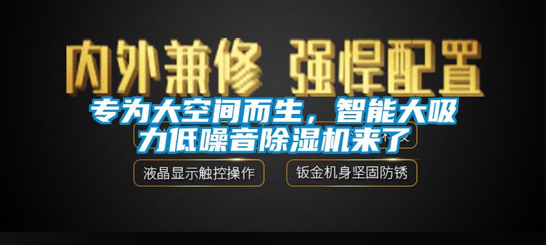 专为大空间而生，智能大吸力低噪音除湿机来了