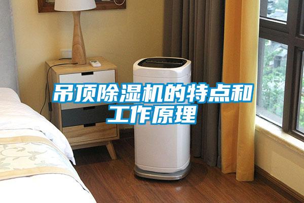 吊顶除湿机的特点和工作原理