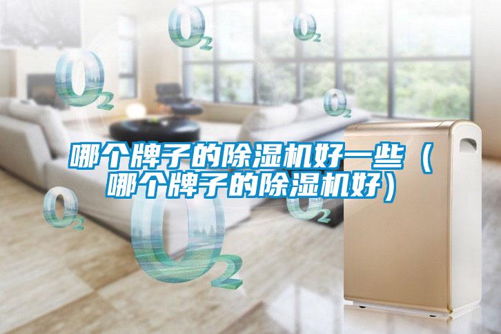 哪个牌子的除湿机好一些（哪个牌子的除湿机好）