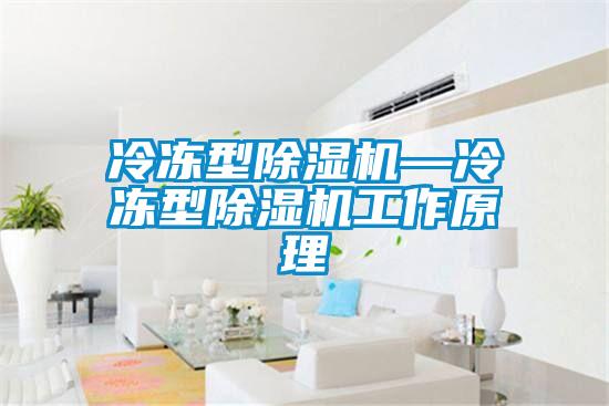 冷冻型除湿机—冷冻型除湿机工作原理
