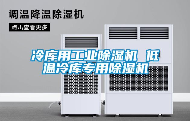 冷库用工业除湿机 低温冷库专用除湿机