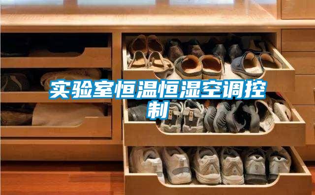 实验室恒温恒湿空调控制