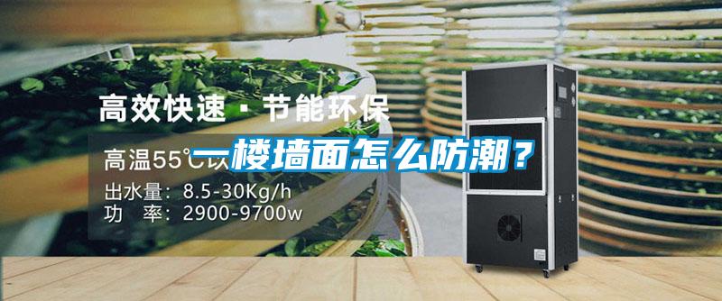 一楼墙面怎么防潮？