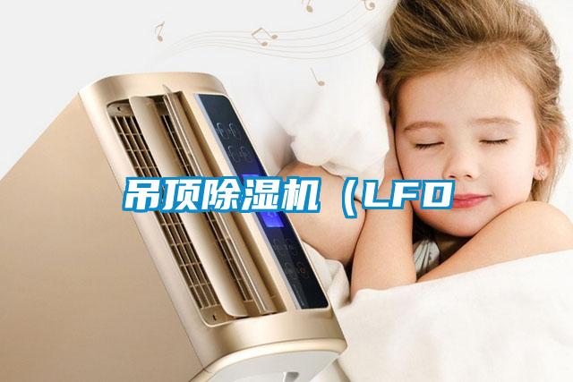 吊顶除湿机（LFD