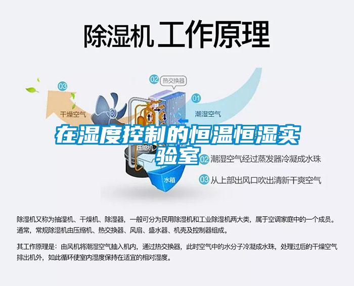 在湿度控制的恒温恒湿实验室