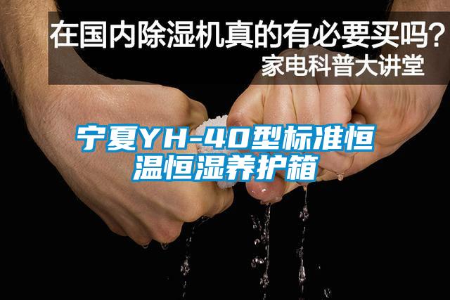 宁夏YH-40型标准恒温恒湿养护箱